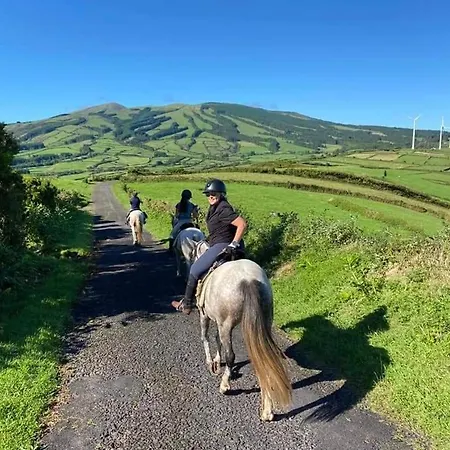 Casa Anjos Vakantiehuis *