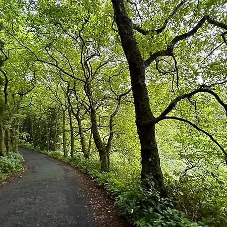 Ferienhaus Casa Anjos Cedros