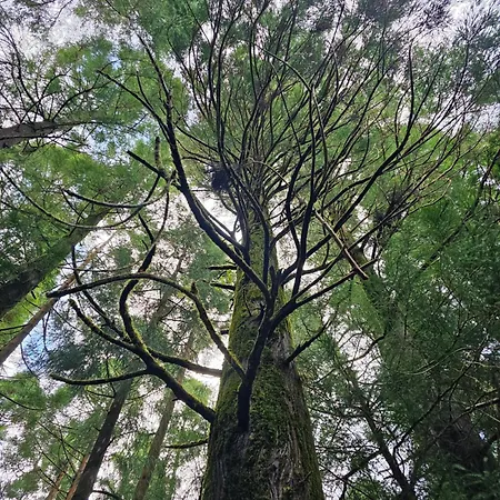 Vakantiehuis Casa Anjos *