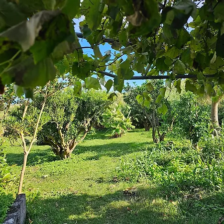 Vakantiehuis Casa Anjos