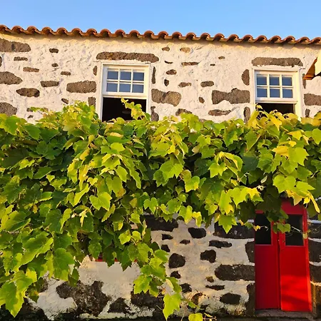 Casa Anjos Ferienhaus Cedros