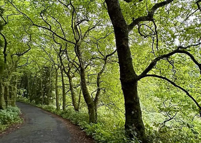 別荘 Casa Anjos Cedros