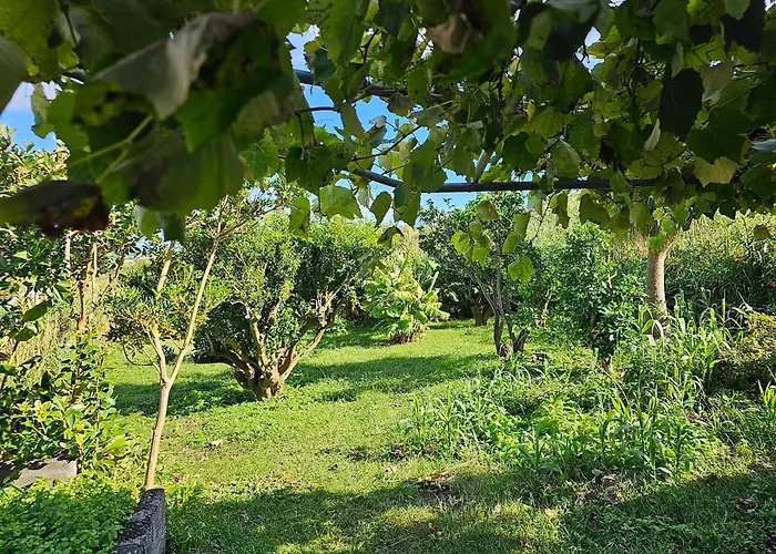 Holiday home Casa Anjos